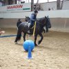 Ponyralley 078